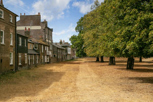 Backing on to Bushy Park- click for photo gallery
